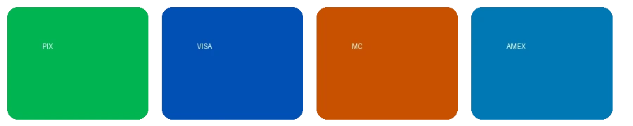 禁漫天堂支持的支付方式图标 - 包括PIX、VISA、万事达卡等